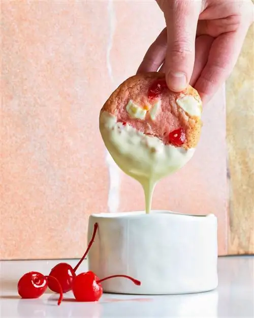 Печенье с вишнево-белой шоколадной крошкой, политое белым шоколадом