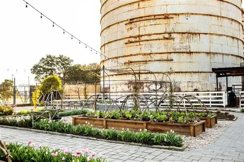 Обзор сада магнолий перед силосами