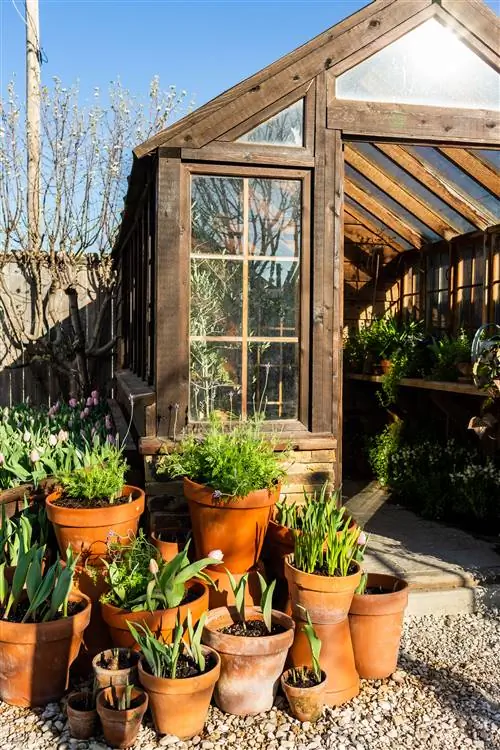 Теплица с растениями в горшках в садах Магнолии