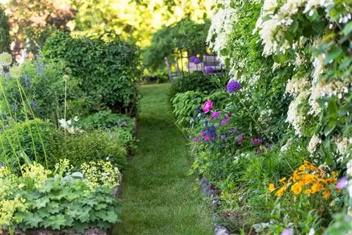 Как определить 5 распространенных болезней растений и сохранить здоровье вашего сада