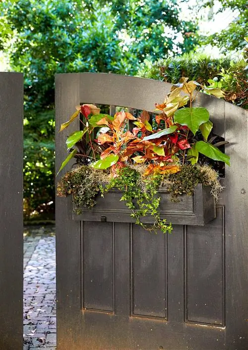 воротная коробка с гибискусом, плющом и мхом