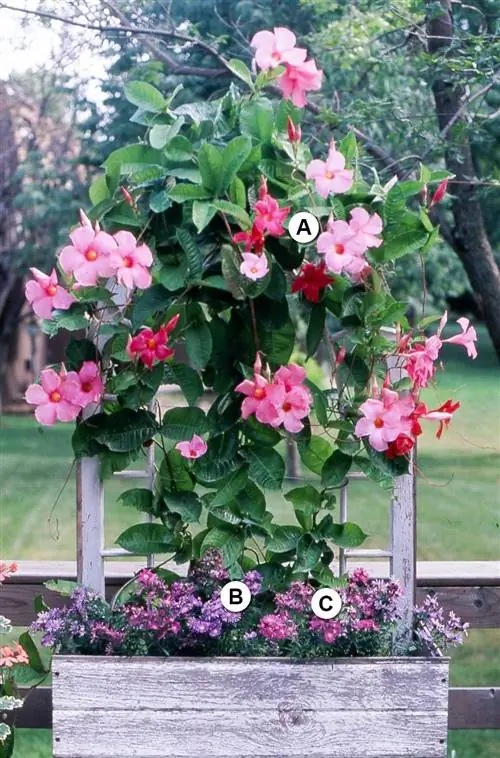 разнообразие цветов в деревянных буквах плантатора