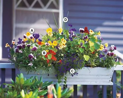 Разнообразие цветов в горшке на буквах забора