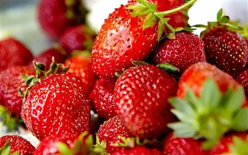 крупный план кучи клубники