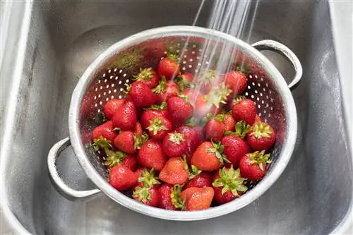 свежая клубника в дуршлаге в раковине