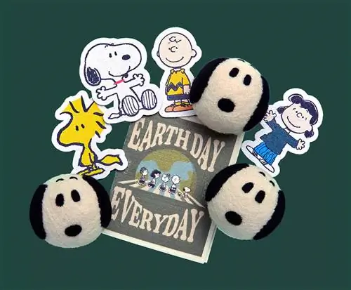 Коллекция Brightly x Peanuts Earth Day с шариками для сушки, губками и салфеткой для желаний