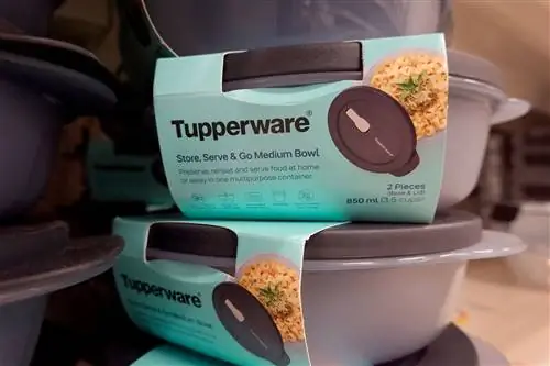 Будущее Tupperware неопределенно, заявляет компания