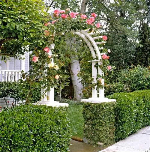 Image Image