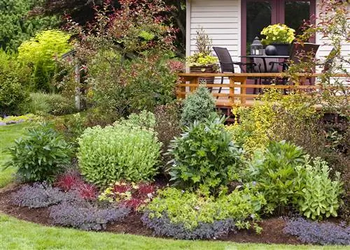грядка перед задней палубой