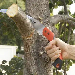 отпиливание срезанной ветки