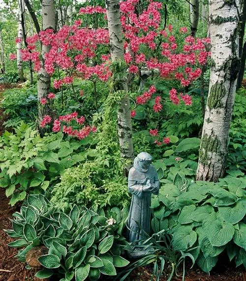 сад рододендронов и азалий со статуей