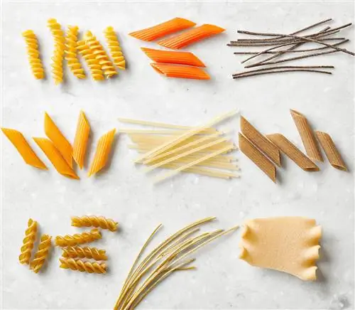 Макет сушеной лапши без глютена