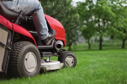 Нужна помощь с вашим двором? Вот путеводитель по лучшим общенациональным услугам по газонам