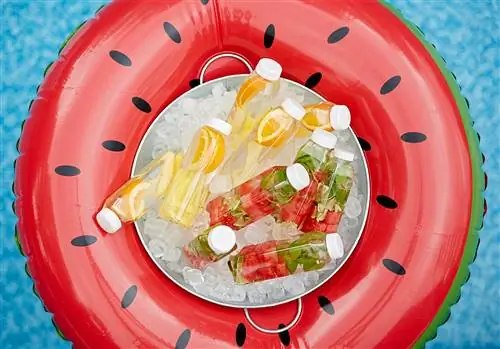 арбузная внутренняя трубка с наполненными фруктами бутылками