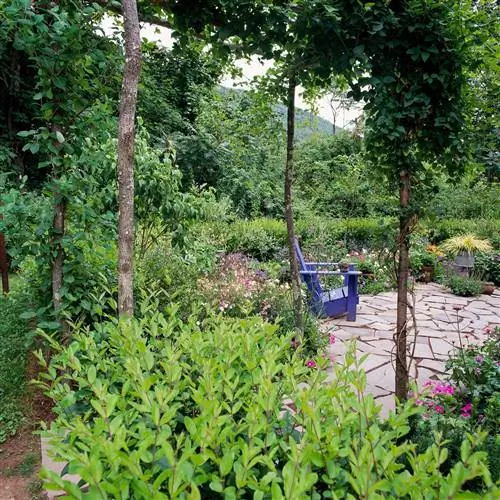 сад патио открытый синий стул