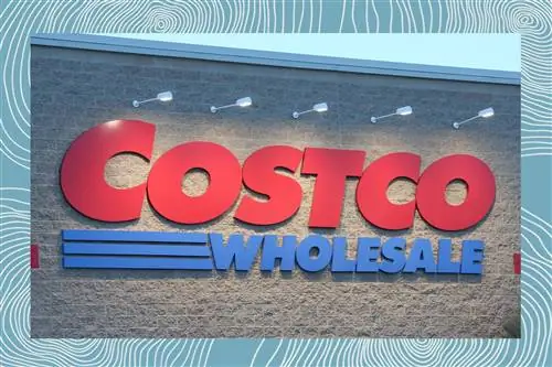 Витрина магазина Costco с фотообработкой в виде голубых завитков Витрина магазина Costco с фотообработкой в виде голубых завитков