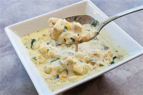 подражатель куриному супу с клецками подражатель куриному супу с клецками