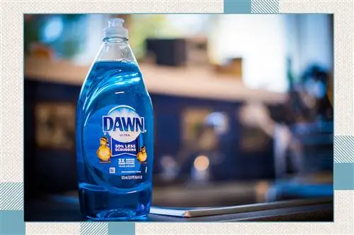 Бутылка средства для мытья посуды Dawn на кухонном столе Бутылка средства для мытья посуды Dawn на кухонном столе