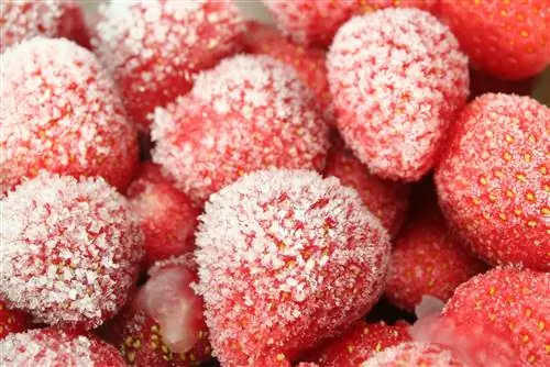 Замороженная клубника