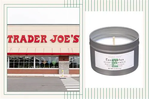 Компания Trader Joe’s только что анонсировала свою следующую консервированную ароматическую свечу, выбранную фанатами