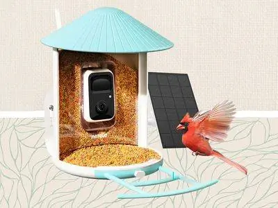 Amazon NETVUE Birdfy Lite - умная камера для кормления птиц