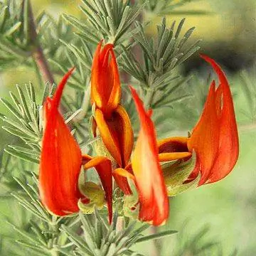 Amazon% 20sunset.rendition.largest-j.webp