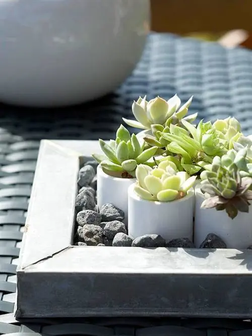 Добавьте текстуру и цвет столешницы