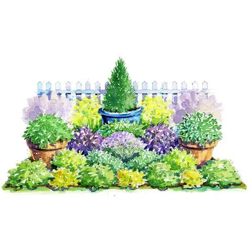 План красочного травяного сада