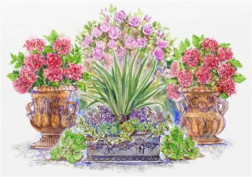 план классического контейнерного сада