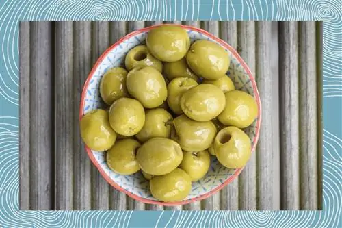 Люди делают кубики льда из фаршированных оливок для лучшего мартини