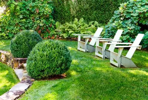 Как и когда вносить серу на газон