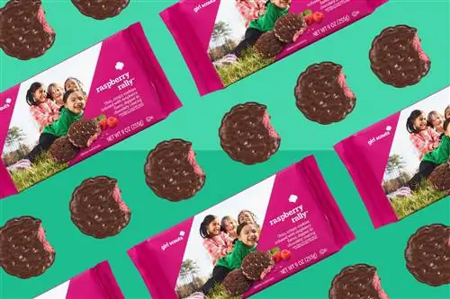 несколько печенья и пакетов Girl Scout Raspberry Rally на зеленом фоне
