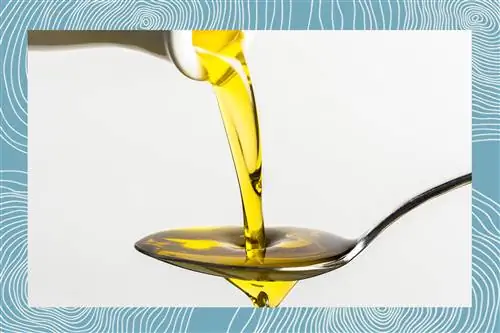 Наливаем оливковое масло в ложку с синей фото обработкой
