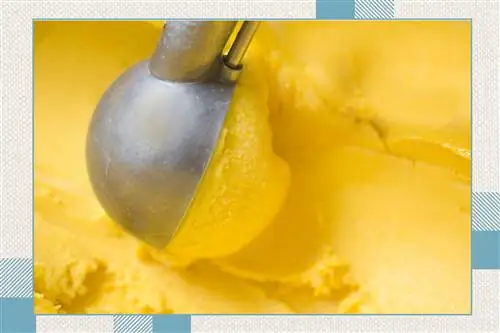 Мы попробовали взлом TikTok Fruit Roll-Up и Ice Cream Snack - и вы тоже должны это сделать
