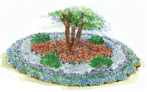 смелая иллюстрация плана сада в тени