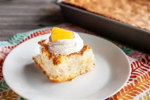 квадратный кусок торта с ложкой взбитых сливок и лакомым кусочком ананаса квадратный кусок торта с ложкой взбитых сливок и лакомым кусочком ананаса