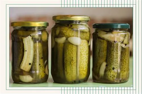 Баночки с огурцами с зеленью фотообработка