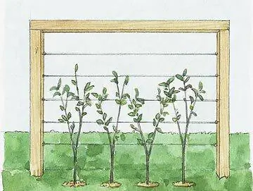 Шаг 2: Создание поддержки шпалеры