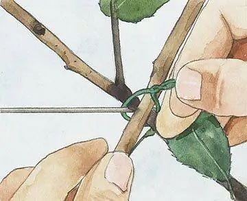 Шаг 3: Создание поддержки шпалеры