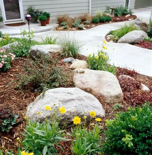 Кизильник клюквенный