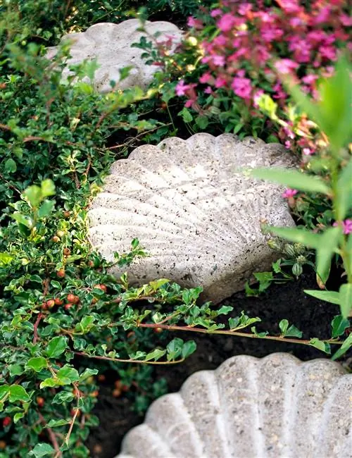 Кизильник ползучий