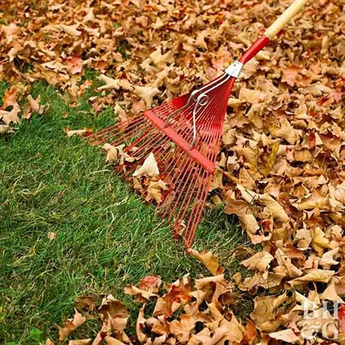 Сгребание листьев, Грабли, листья, лист, газон, трава