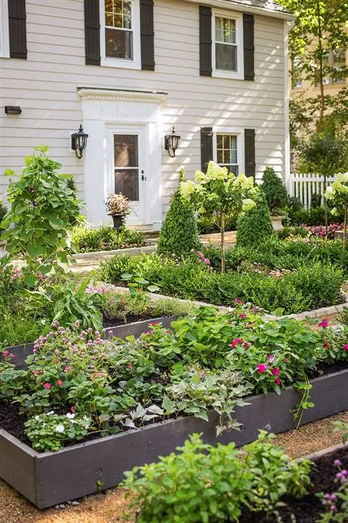 цветы и растения во дворе сад дома экстерьер