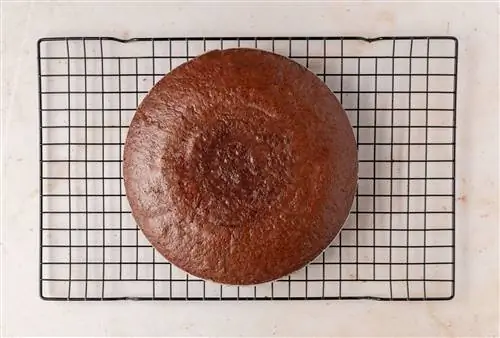 испекла шоколадный торт из одной миски на охлаждающей решетке