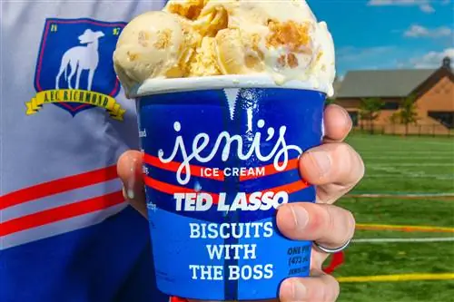 Jenis Ice Cream Ted Lasso Biscuits с изображением босса