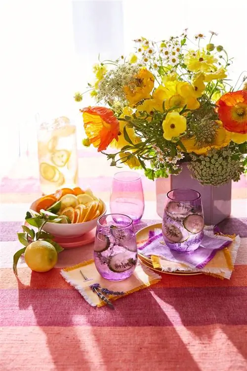 цитрусовые фрукты теплые оттенки цветочная композиция