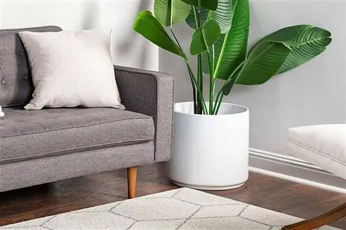 Пресс-день: лучшие предложения Amazon TOUT