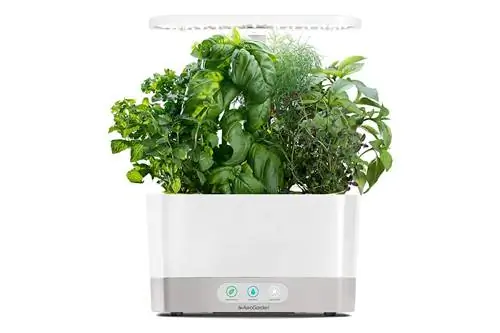 AeroGarden Harvest с набором стручков для гурманских трав