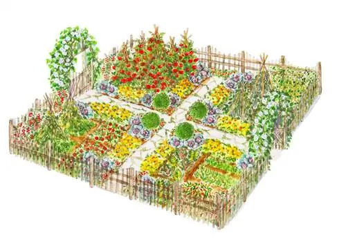 план сада с дорожкой