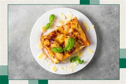 Кусок лазаньи на бетонном фоне